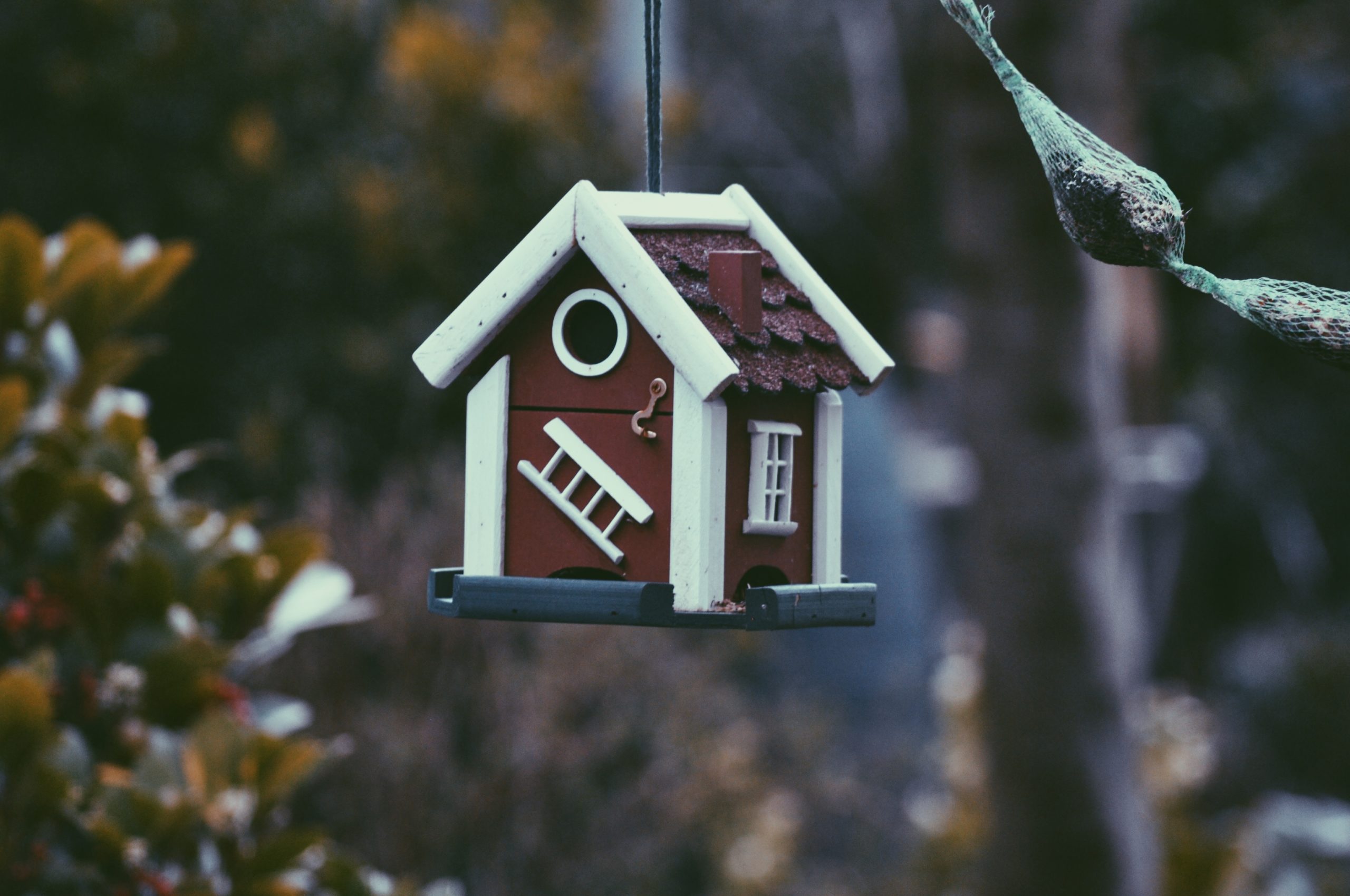 Why Americans are Saying Goodbye to Home Insurance: A Comprehensive Analysis 1 Home Insurance